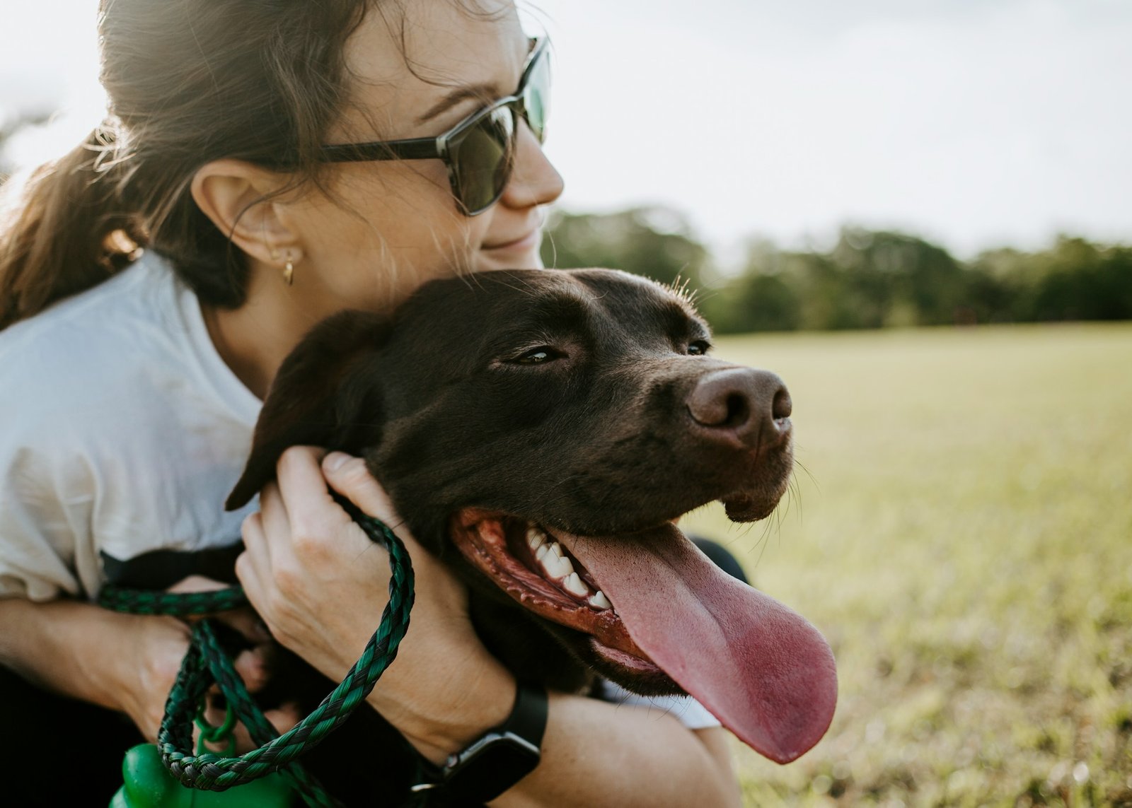 Maîtresse et son chien lors d'une sortie — formation ACACED Chien